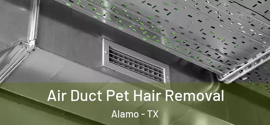  Air Duct Pet Hair Removal Alamo - TX