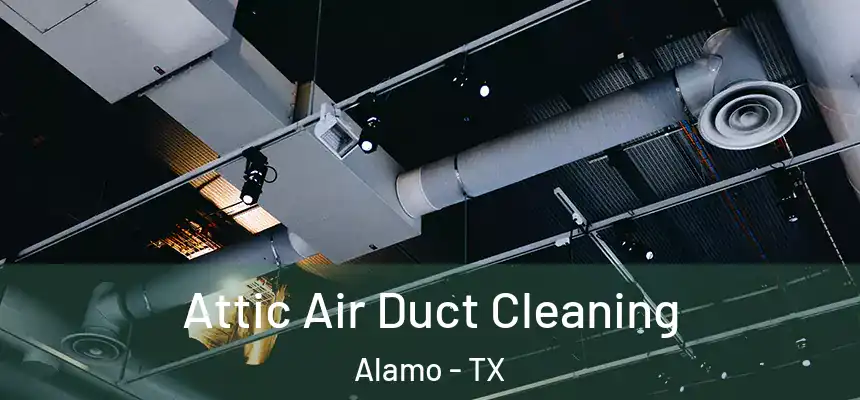  Attic Air Duct Cleaning Alamo - TX