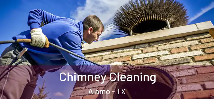  Chimney Cleaning Alamo - TX