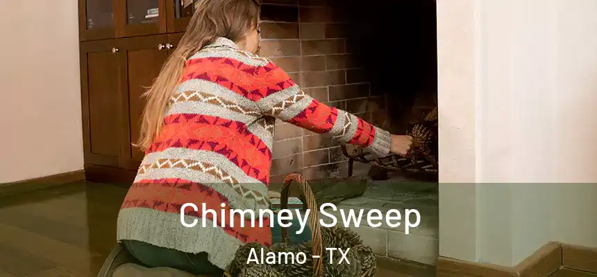  Chimney Sweep Alamo - TX