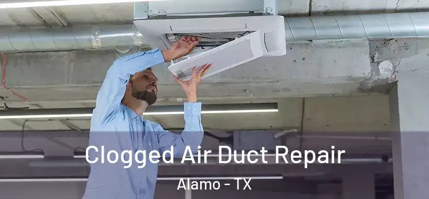  Clogged Air Duct Repair Alamo - TX