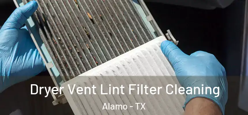  Dryer Vent Lint Filter Cleaning Alamo - TX