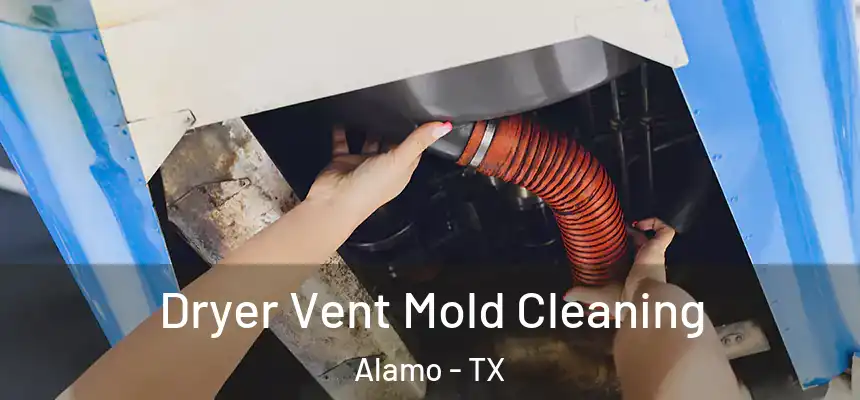  Dryer Vent Mold Cleaning Alamo - TX