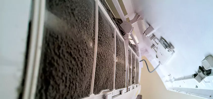 Preventive Air Duct Bacteria Removal in Alamo