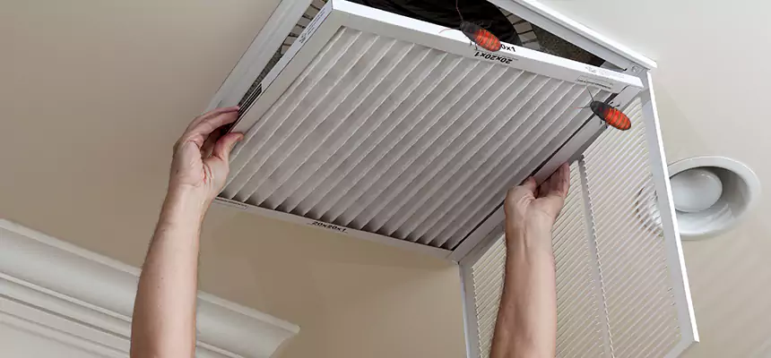 Preventive Cockroach-Proofing for Ducts in Alamo