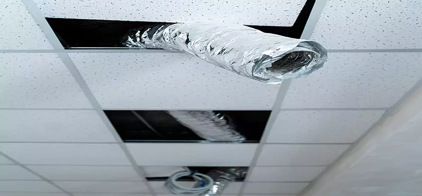 Our Air Duct Pet Hair Removal Services in Alamo, TX