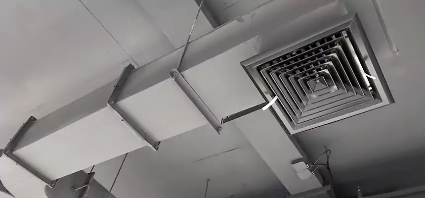 Restorative Allergy Relief Vent Cleaning – Coil, Blower & Housing Detail in Alamo