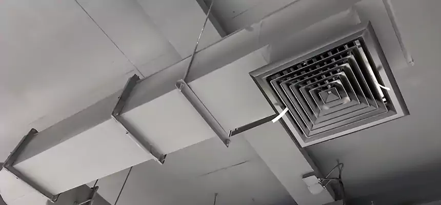 Our Pest Removal From Ducts Services in Alamo, TX