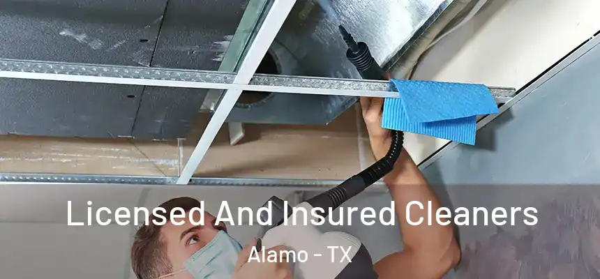  Licensed And Insured Cleaners Alamo - TX