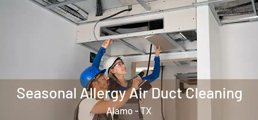  Seasonal Allergy Air Duct Cleaning Alamo - TX