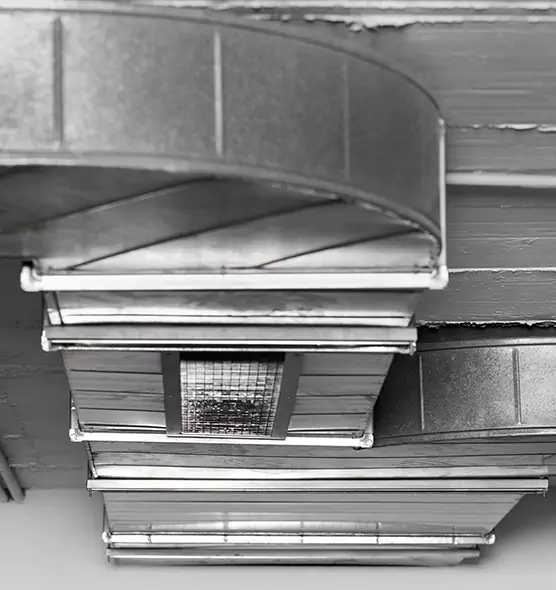 Professional Air Duct Pet Hair Removal in Alamo, TX