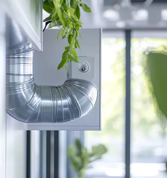 Professional Eco-Friendly Duct Cleaning Services in Alamo, TX