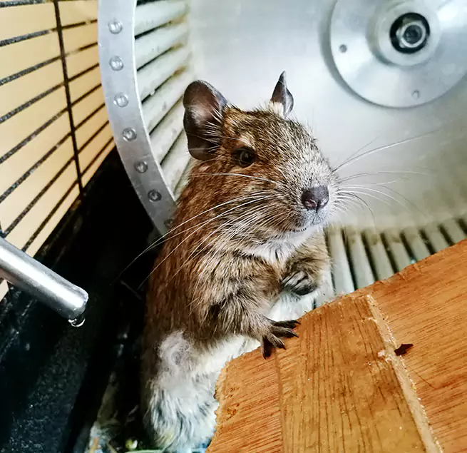 Why Homeowners & Businesses Trust Us Alamo, TX?