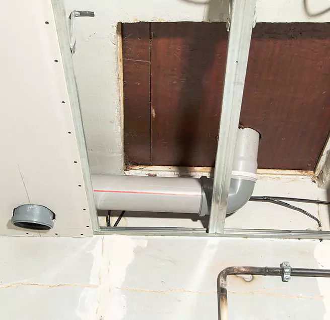 Why Homeowners & Businesses Trust Us in Alamo, TX?