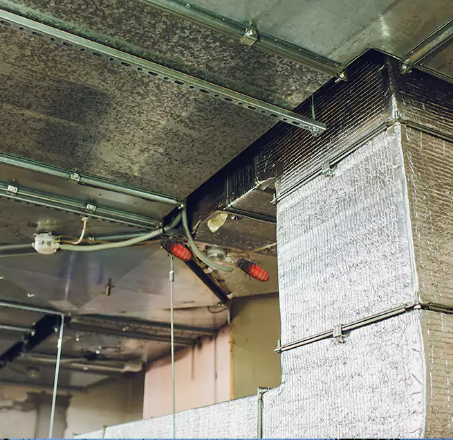 Why Homeowners & Businesses Trust Us Alamo, TX?