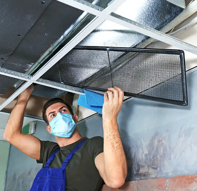 Why Homeowners & Businesses Trust Us in Alamo, TX?