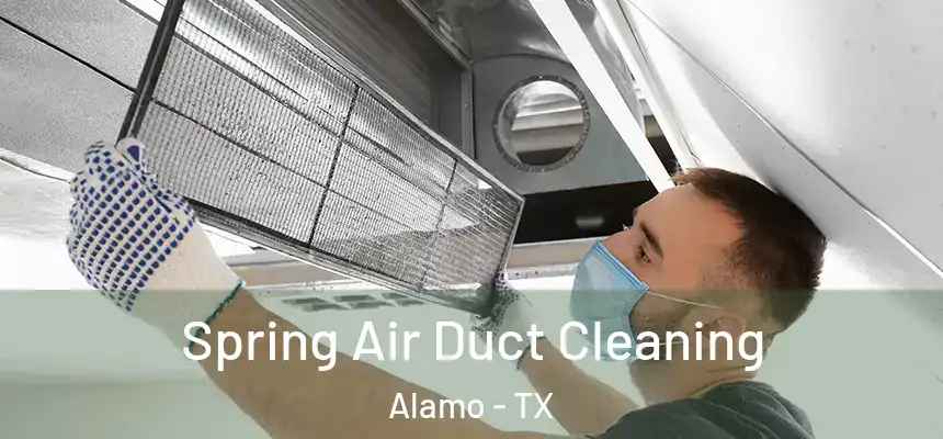  Spring Air Duct Cleaning Alamo - TX